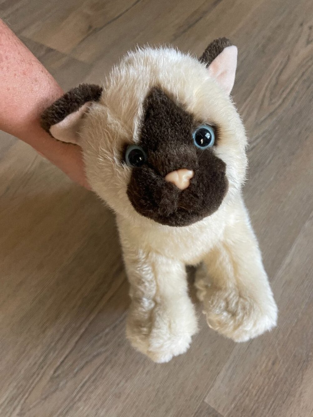 TEEBOO KIDOO SIAMESE CAT PLUSH MEOWS MIAMOO STUFFED ANIMAL KITTY BLUE EYES